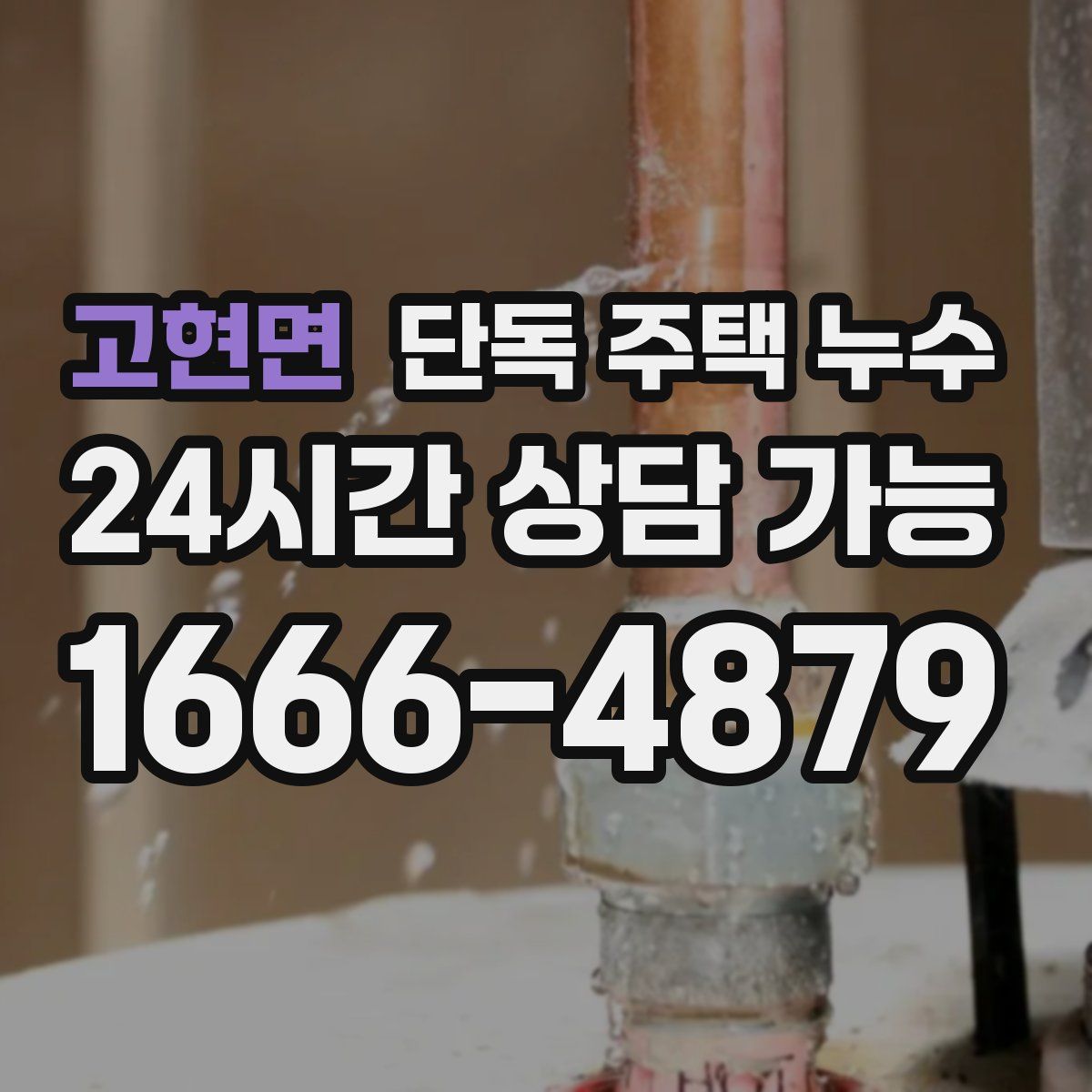 고현면 단독 주택 누수