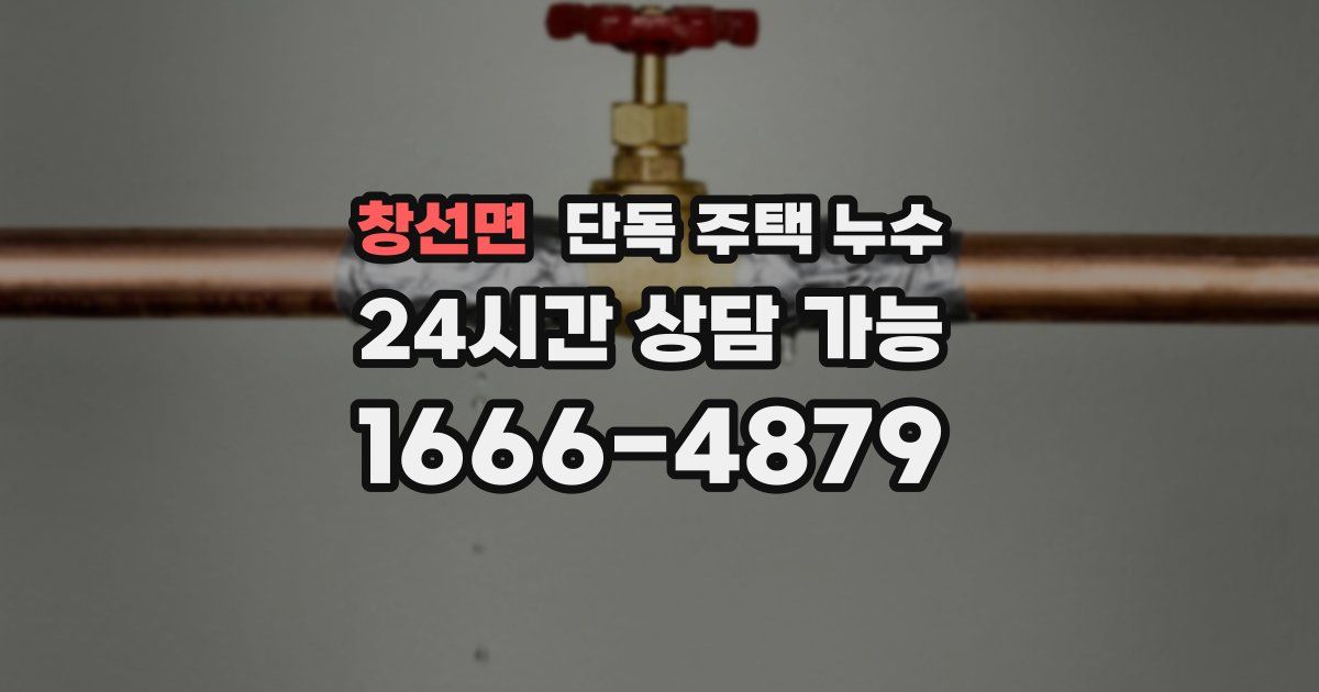 창선면 단독 주택 누수