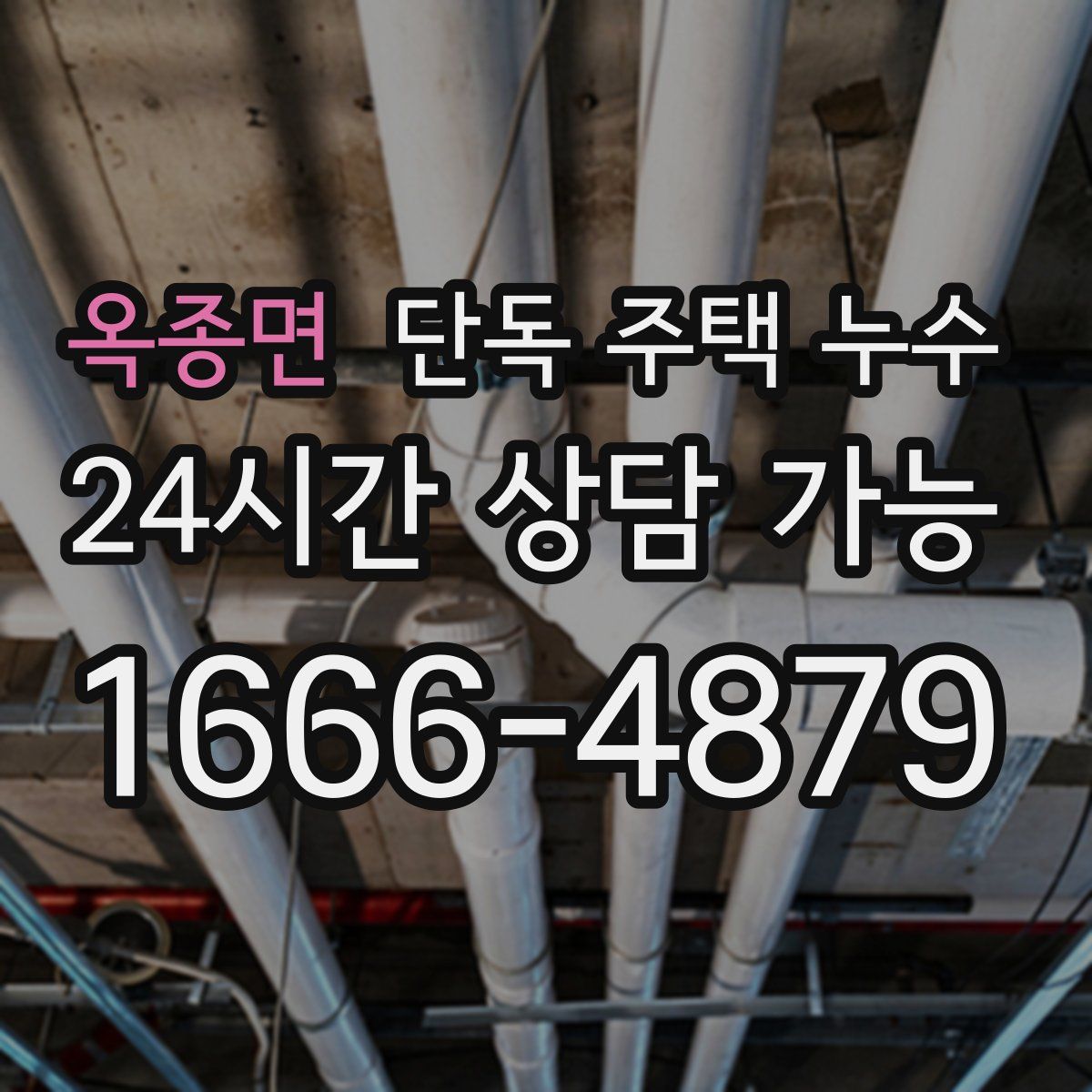 옥종면 단독 주택 누수