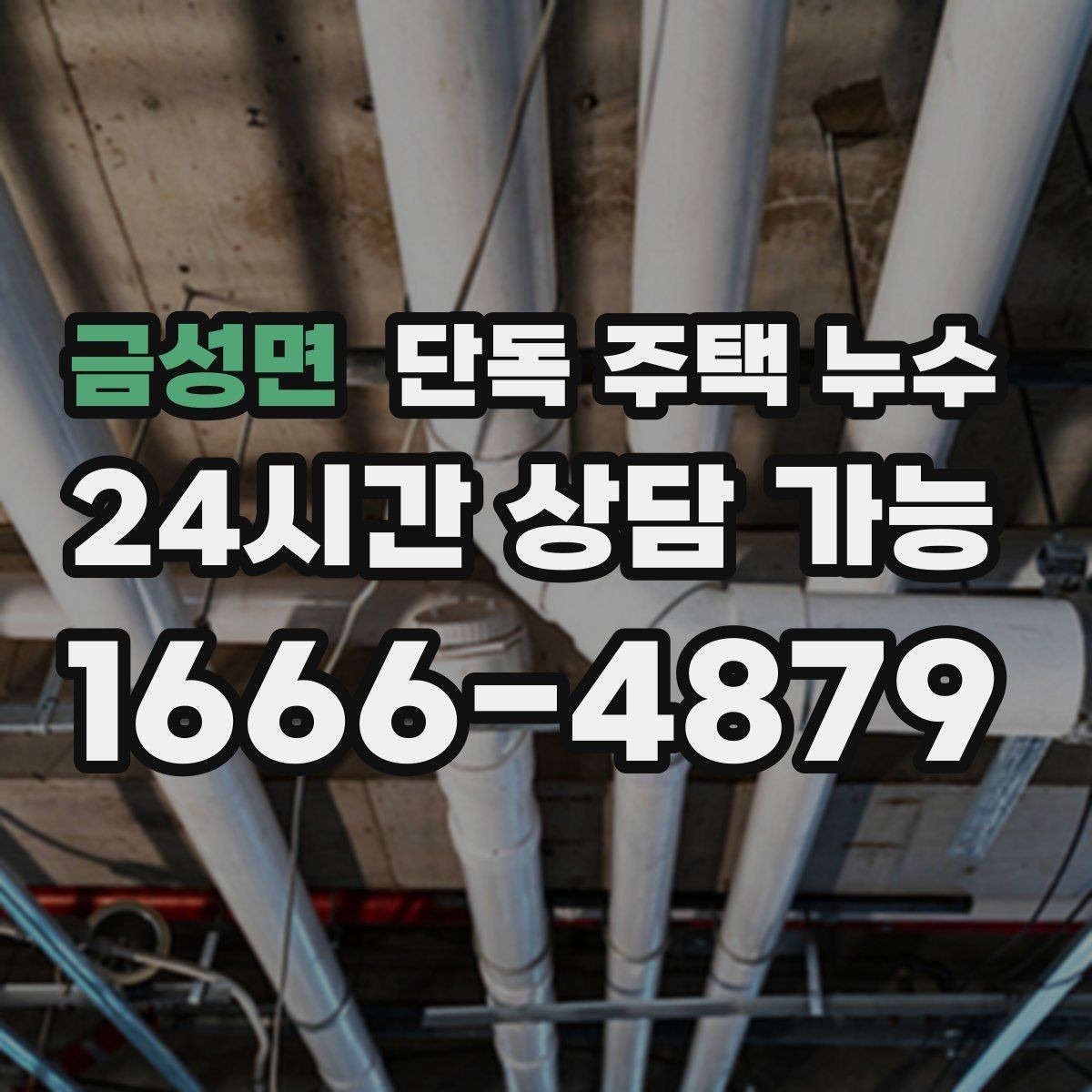 금성면 단독 주택 누수 도배 장판을 다시 하기 전에 꼭 해야 할 것