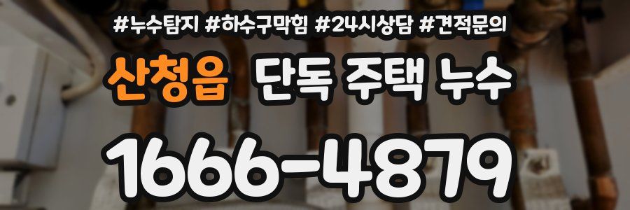 산청읍 단독 주택 누수