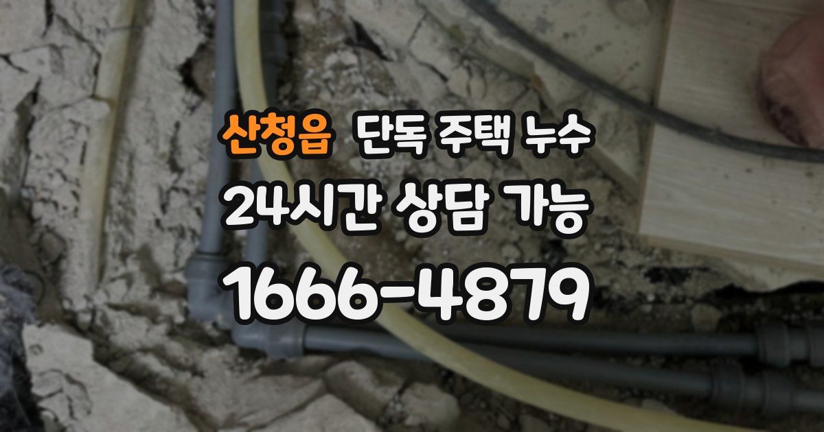 산청읍 단독 주택 누수