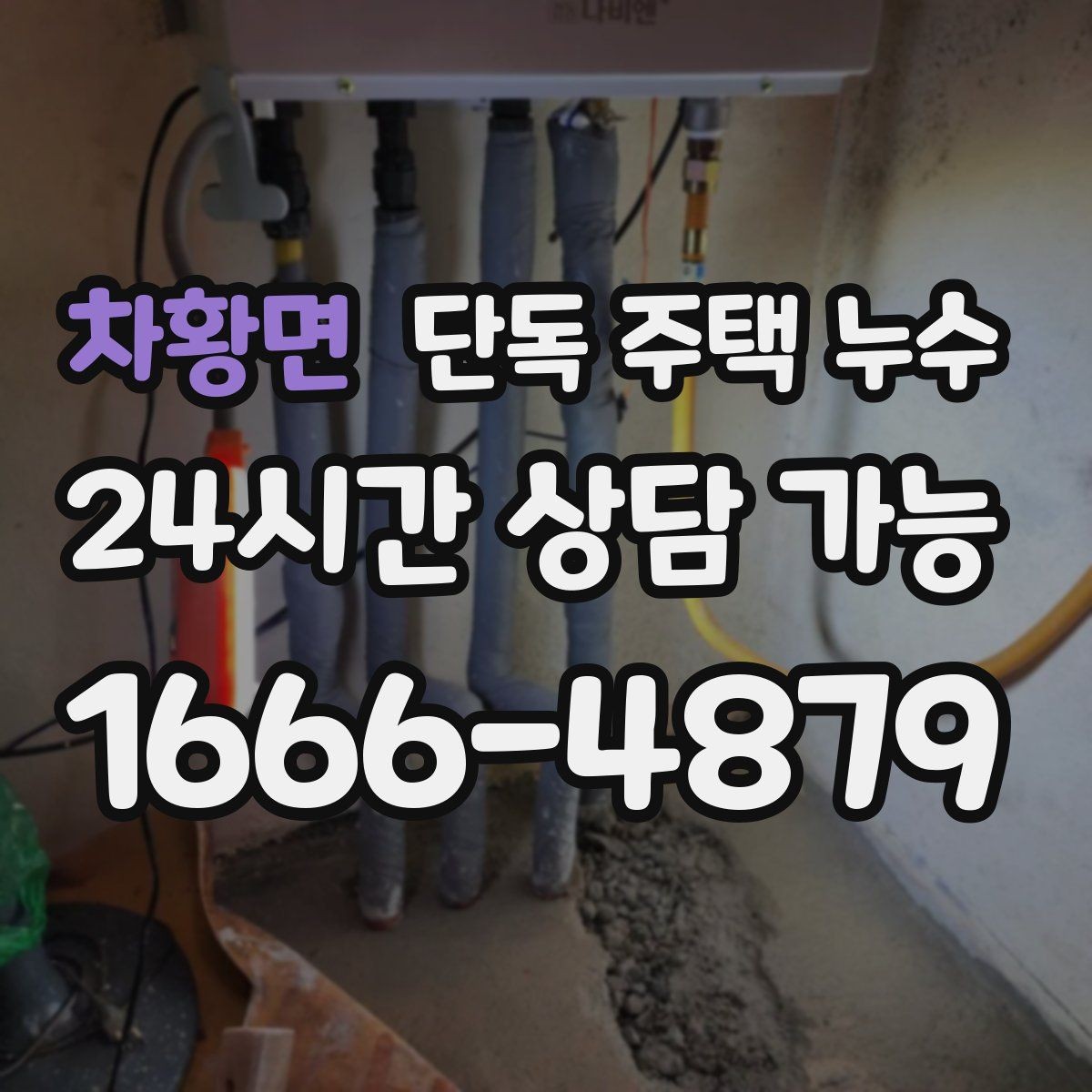 차황면 단독 주택 누수 곰팡이 냄새가 진해지면 원인부터 점검