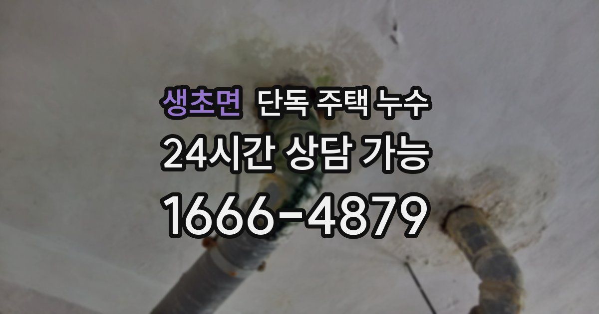 생초면 단독 주택 누수