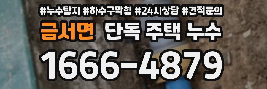 금서면 단독 주택 누수