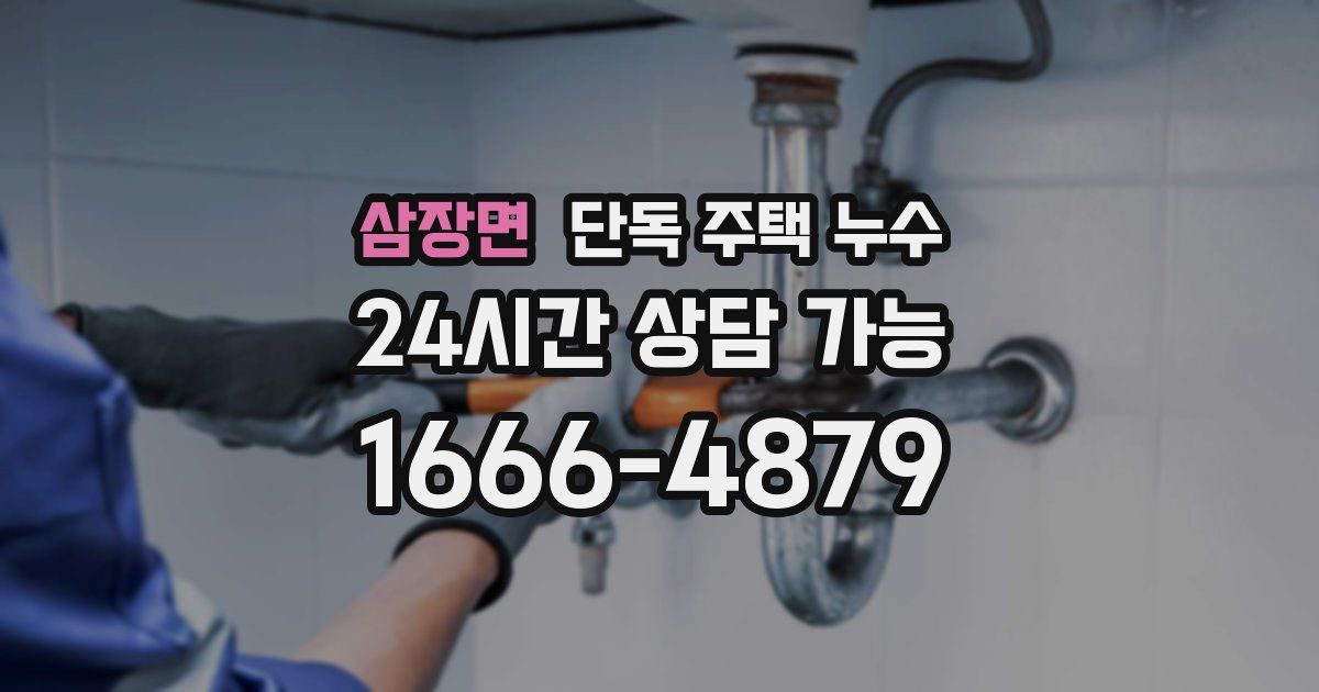 삼장면 단독 주택 누수