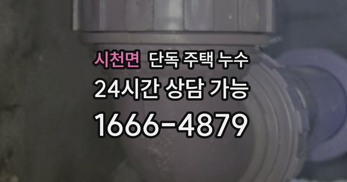 시천면 단독 주택 누수