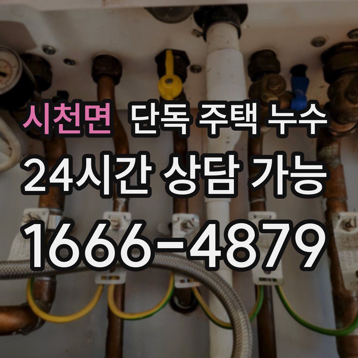 시천면 단독 주택 누수