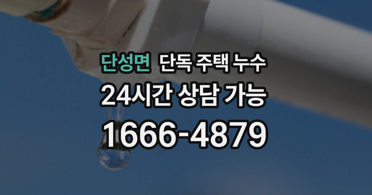 단성면 단독 주택 누수