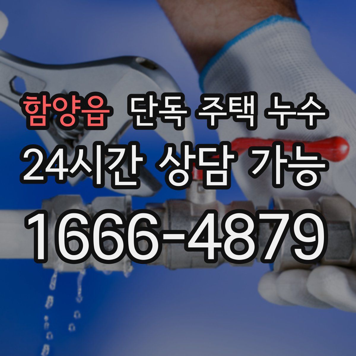 함양읍 단독 주택 누수