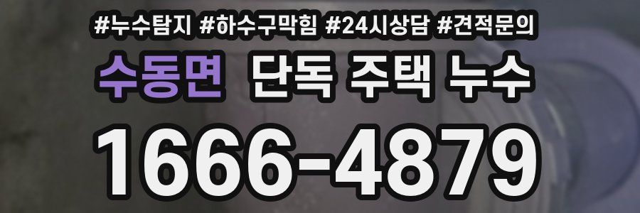 수동면 단독 주택 누수