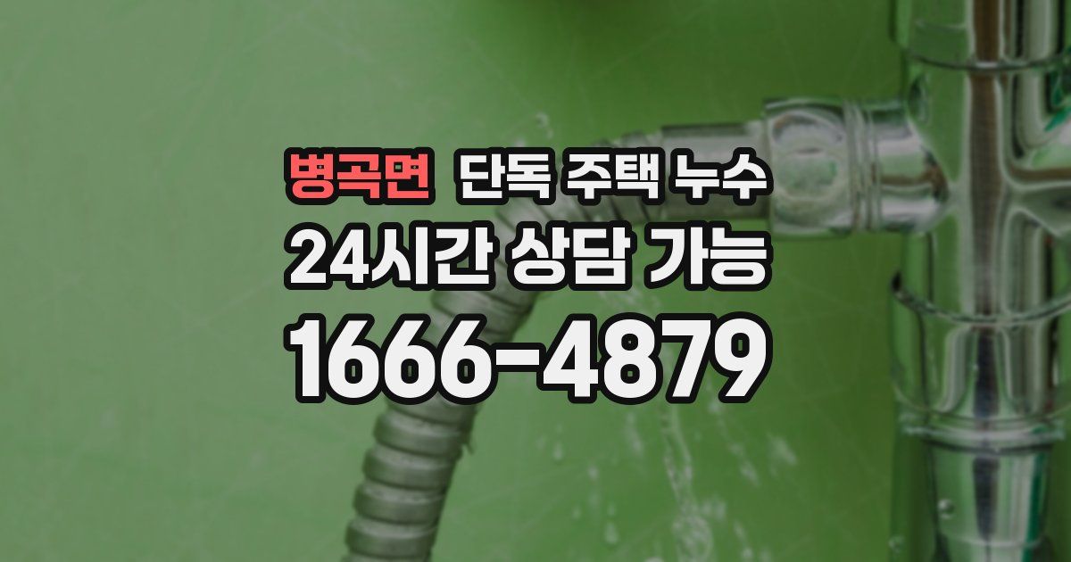 병곡면 단독 주택 누수