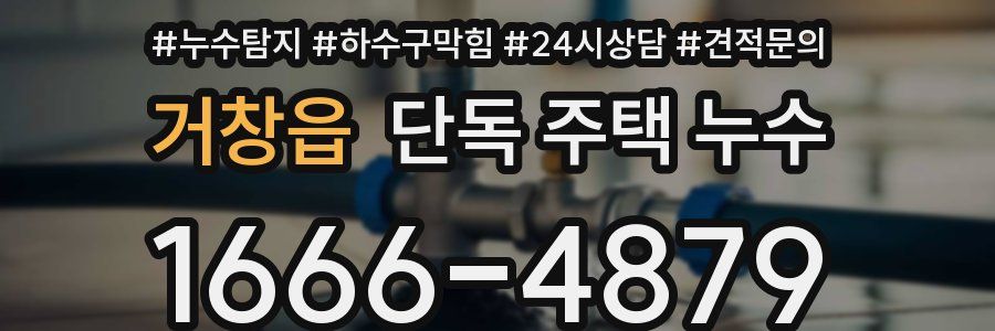 거창읍 단독 주택 누수