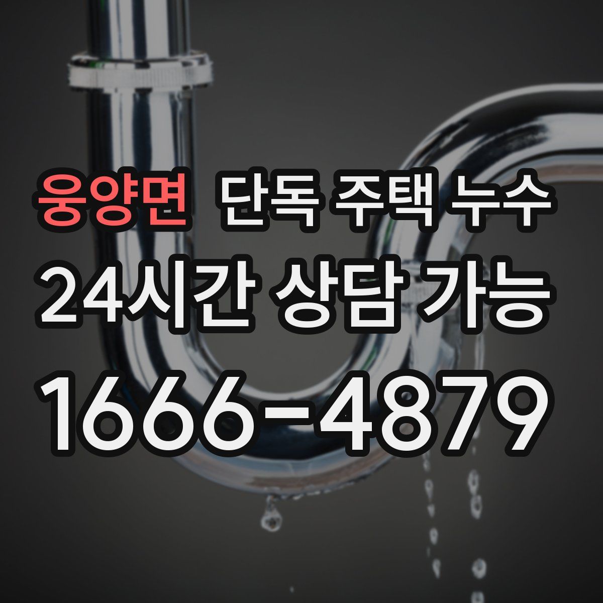 웅양면 단독 주택 누수