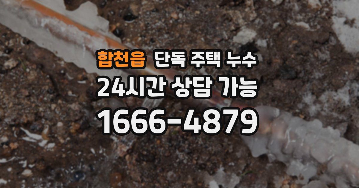 합천읍 단독 주택 누수