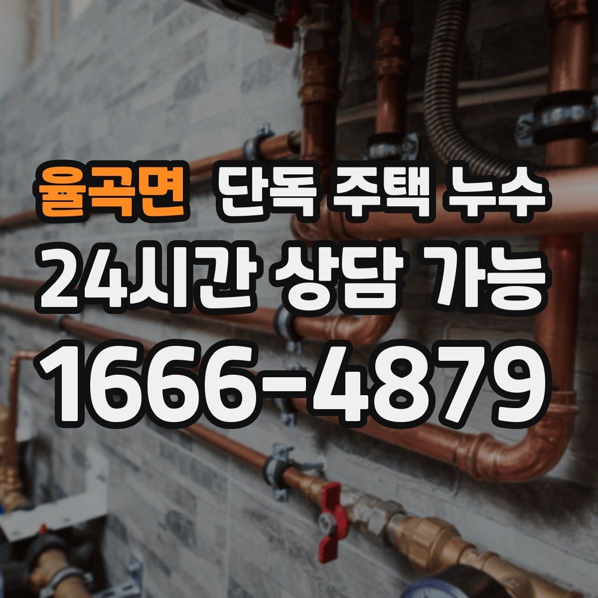 율곡면 단독 주택 누수 배수관 누수로 바닥이 젖는 경우