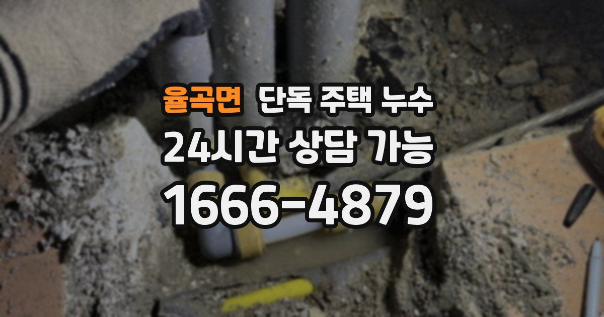 율곡면 단독 주택 누수