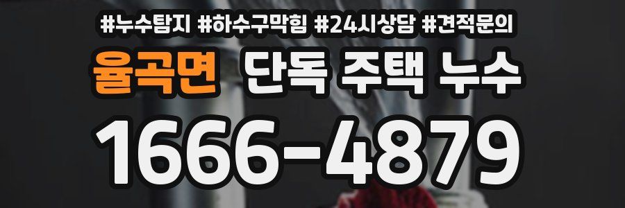 율곡면 단독 주택 누수