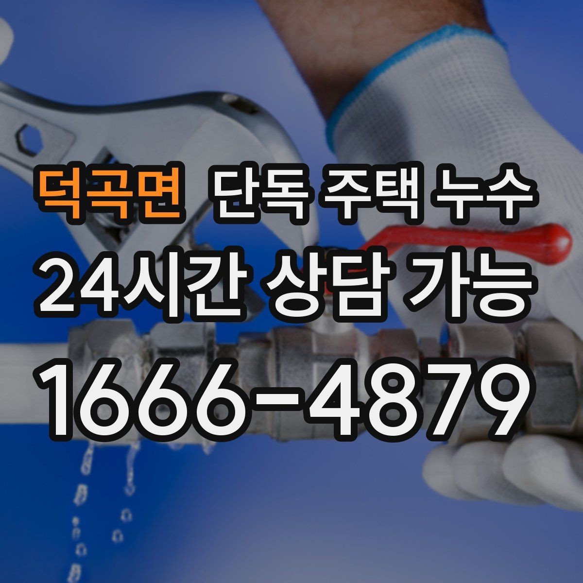 덕곡면 단독 주택 누수 장판 아래 곰팡이 생겼다면 무엇을 의심할까