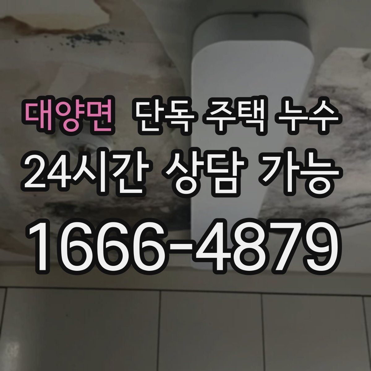 대양면 단독 주택 누수 홈통 문제로 실내 벽이 젖는 과정