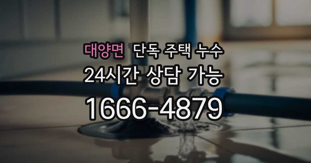 대양면 단독 주택 누수