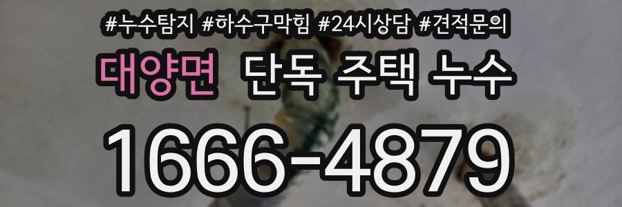 대양면 단독 주택 누수