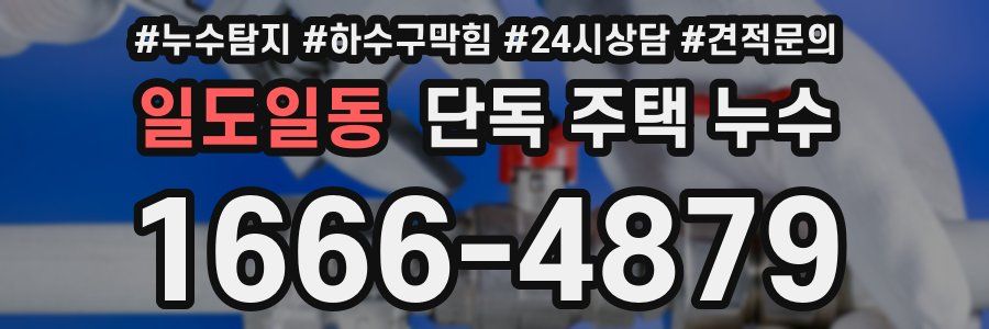 일도일동 단독 주택 누수