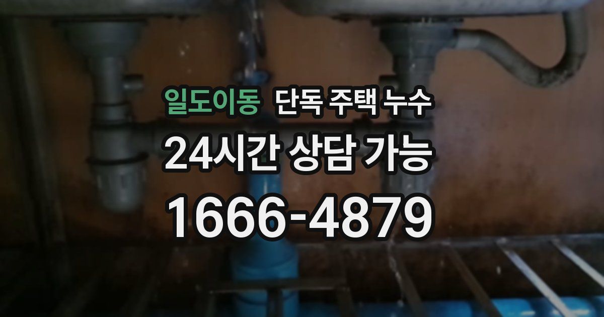 일도이동 단독 주택 누수