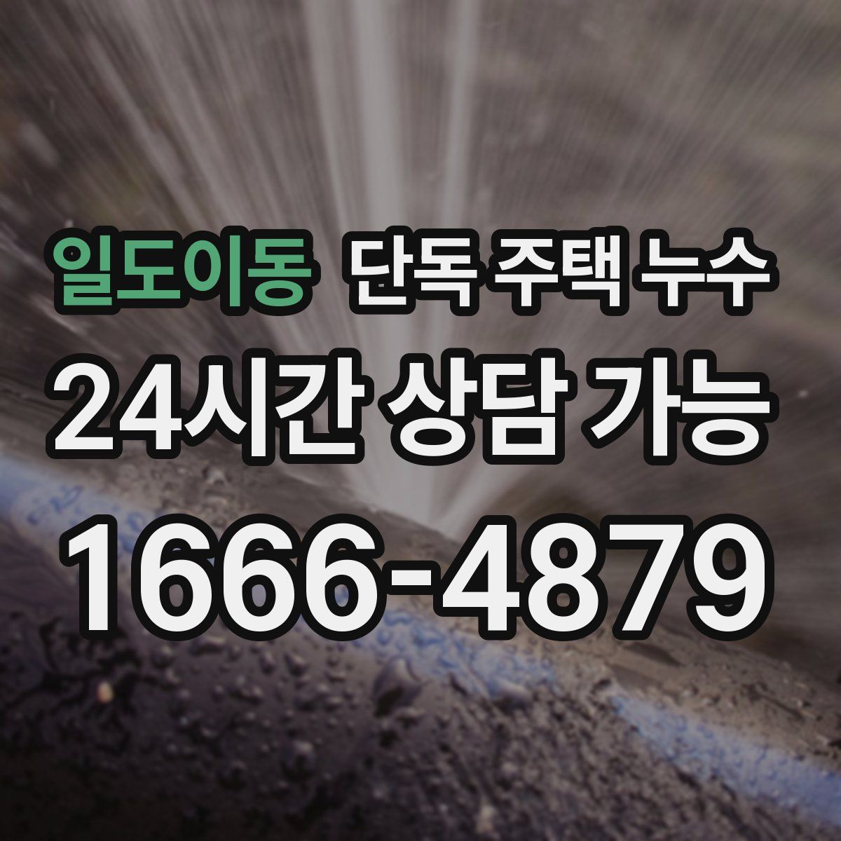 일도이동 단독 주택 누수