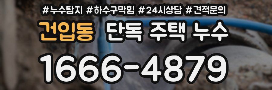 건입동 단독 주택 누수