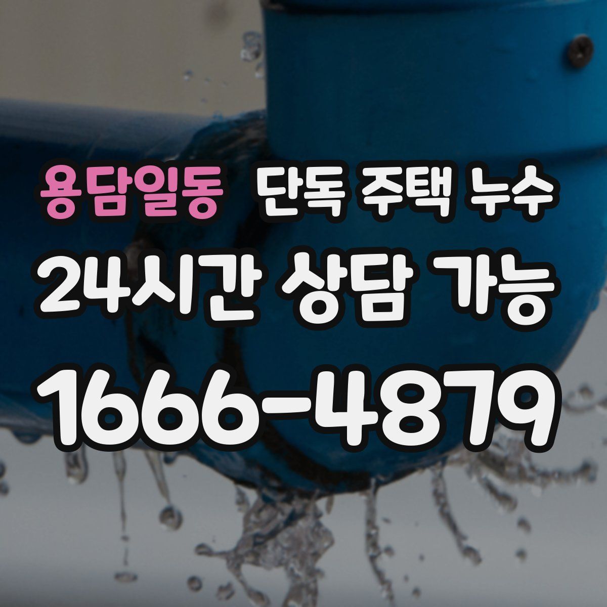 용담일동 단독 주택 누수