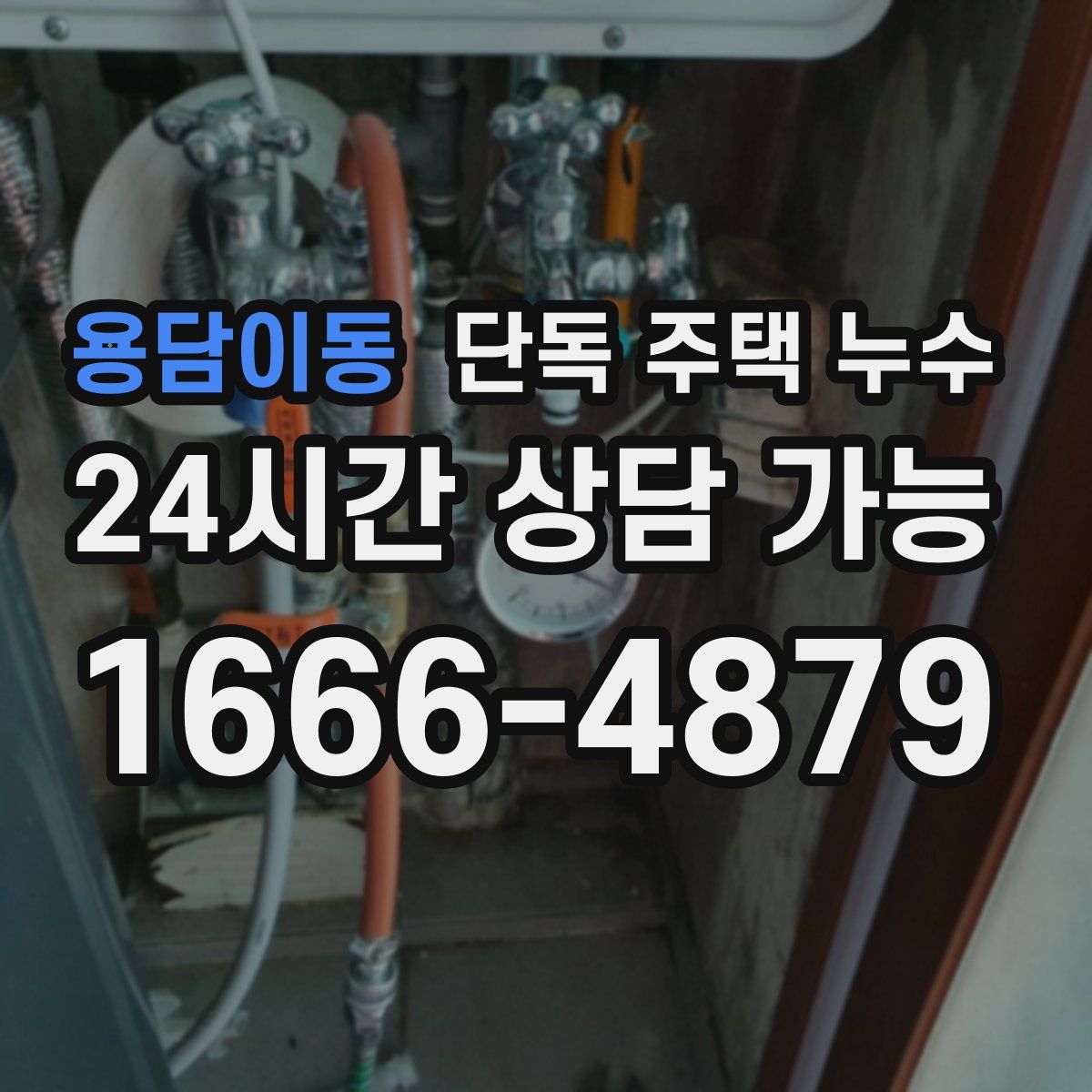 용담이동 단독 주택 누수