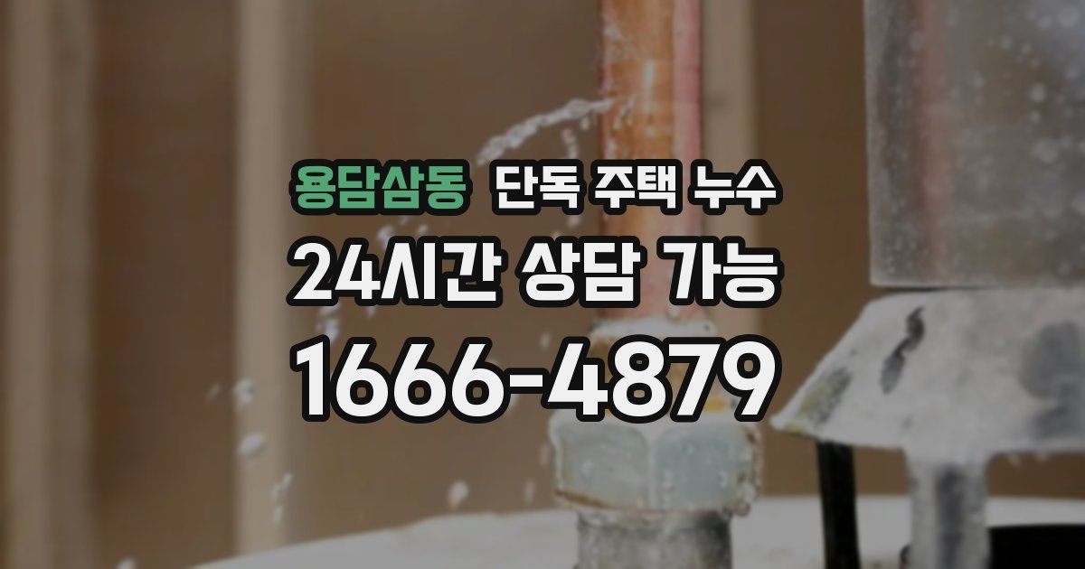 용담삼동 단독 주택 누수