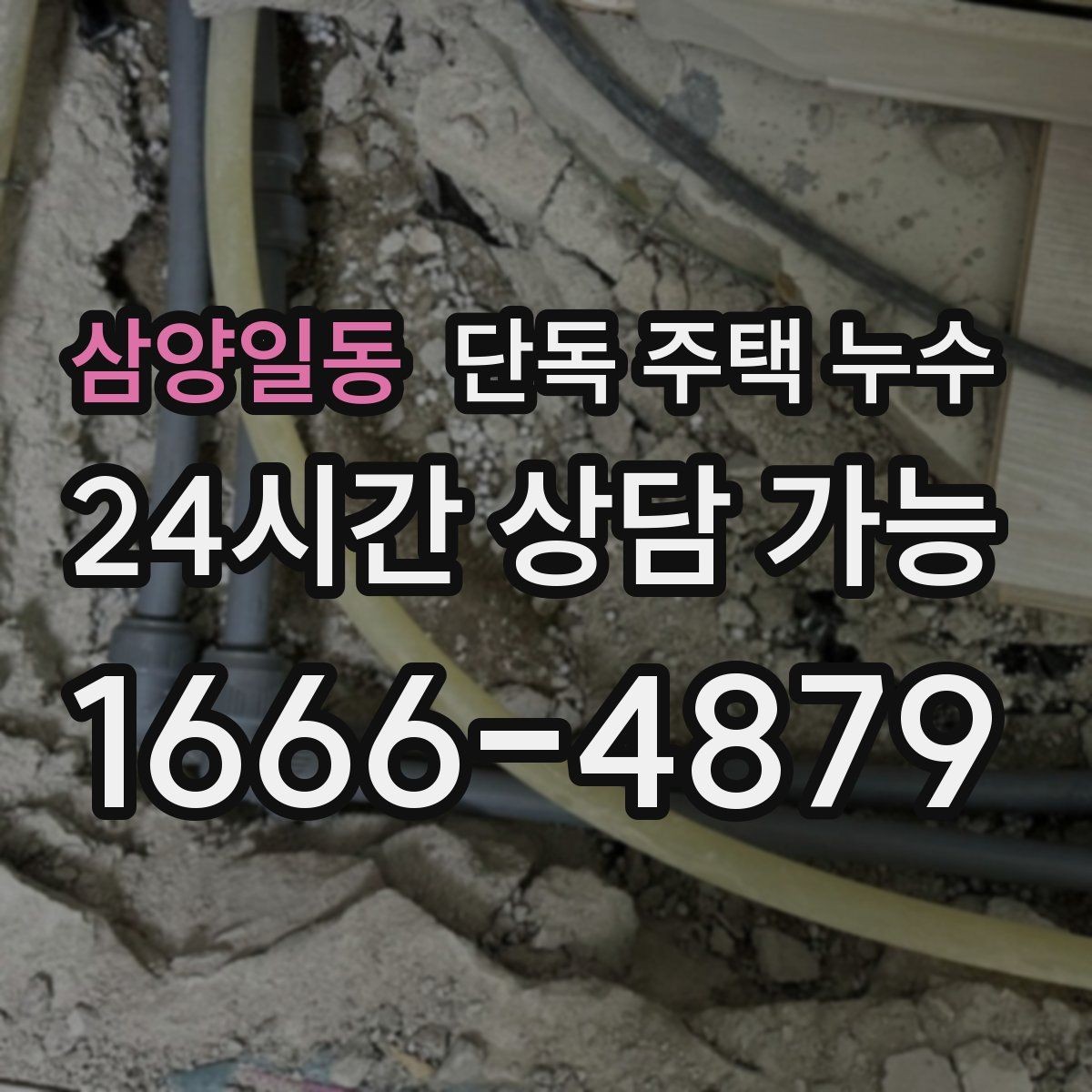 삼양일동 단독 주택 누수 정수기 연결부 주변 물고임 점검