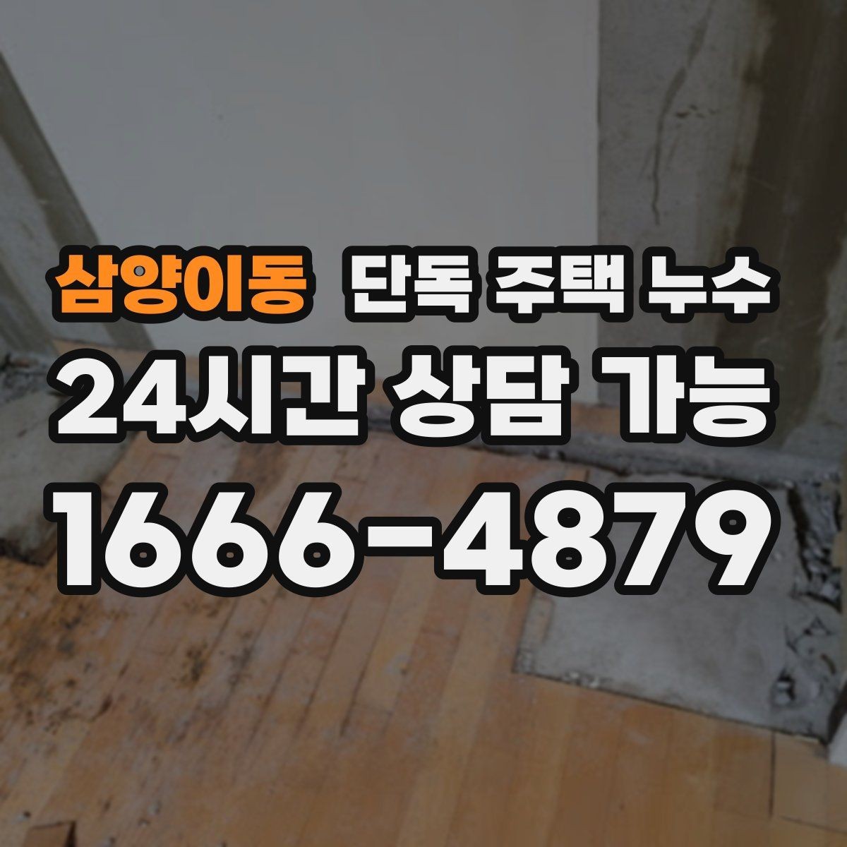 삼양이동 단독 주택 누수 장판 아래 물기가 빠지지 않을 때