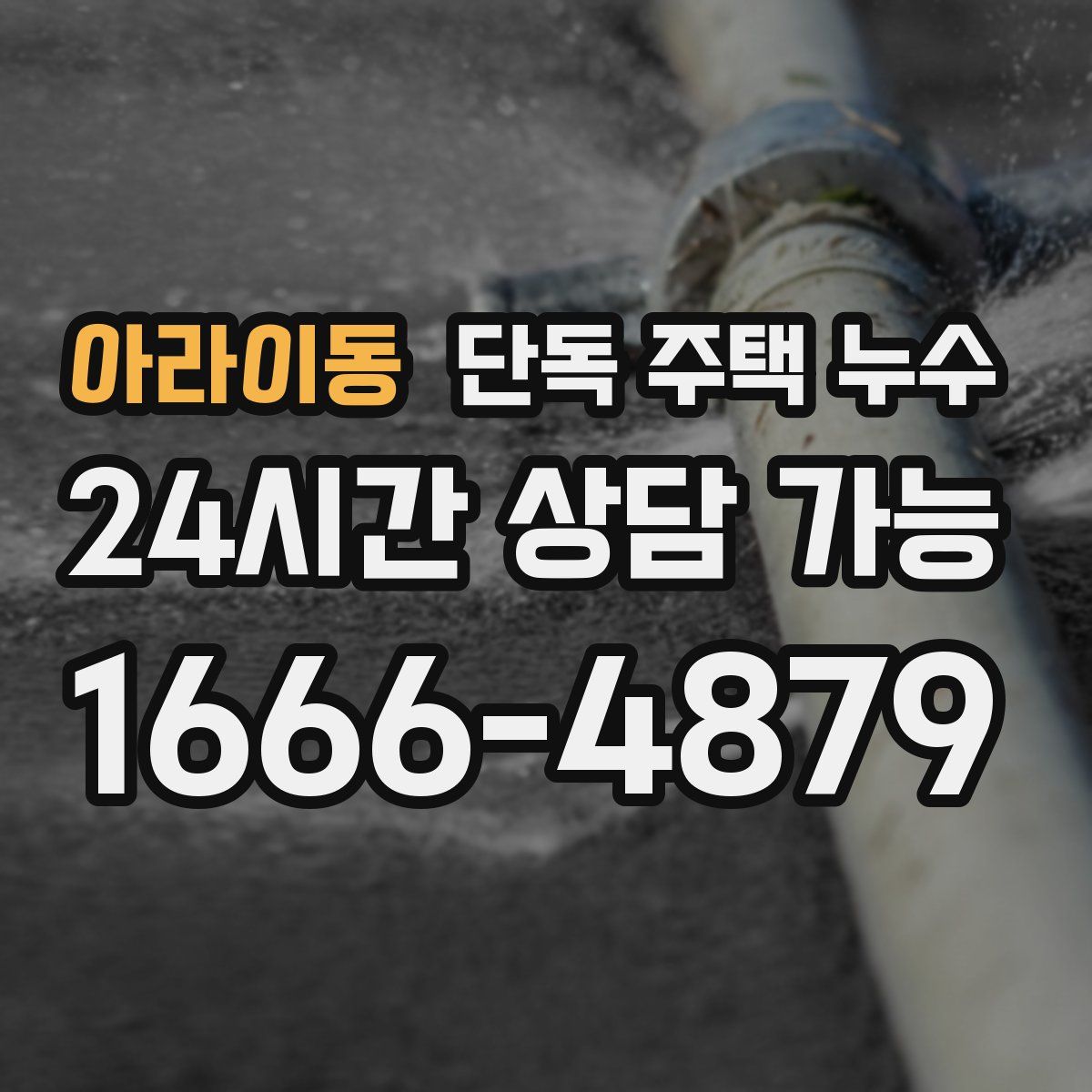 아라이동 단독 주택 누수