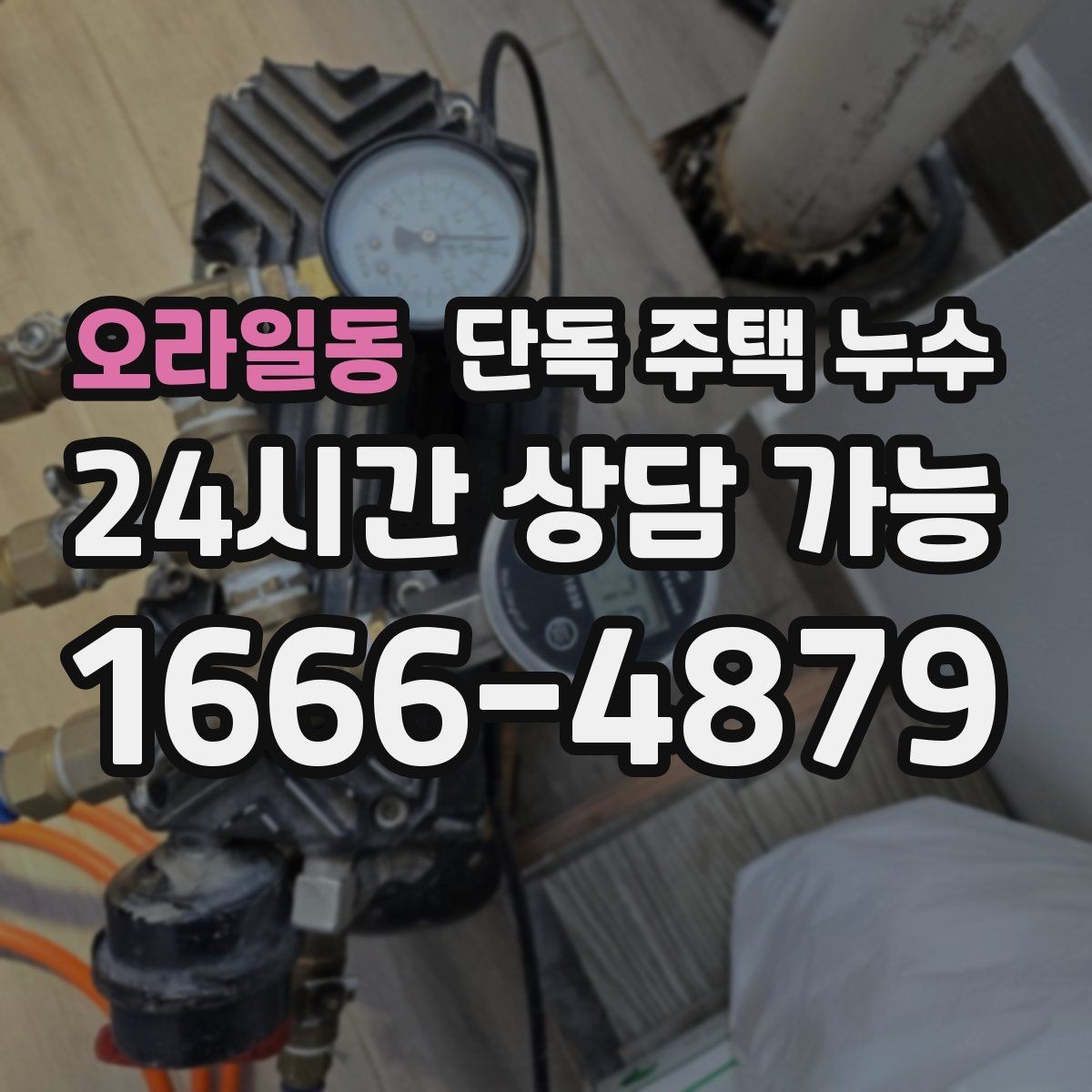 오라일동 단독 주택 누수 창가 커튼이 젖는 증상 원인