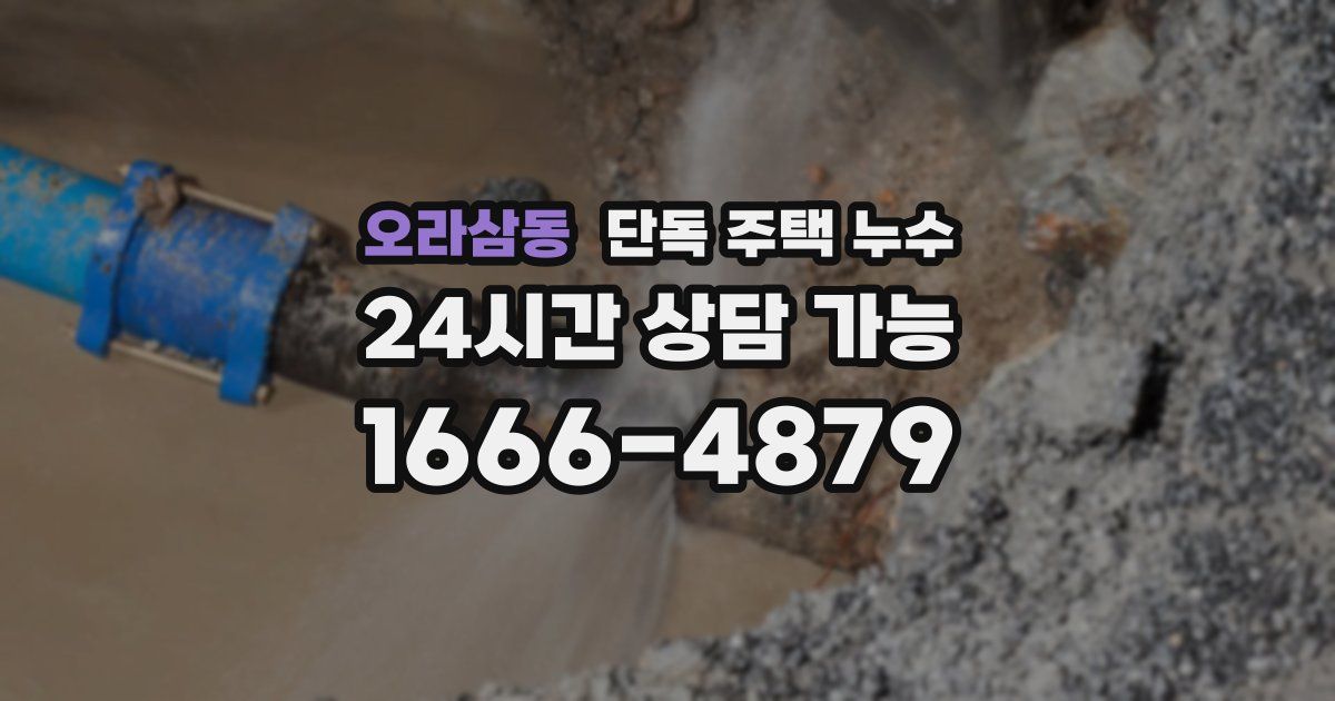 오라삼동 단독 주택 누수