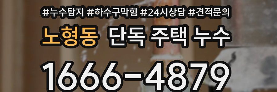 노형동 단독 주택 누수
