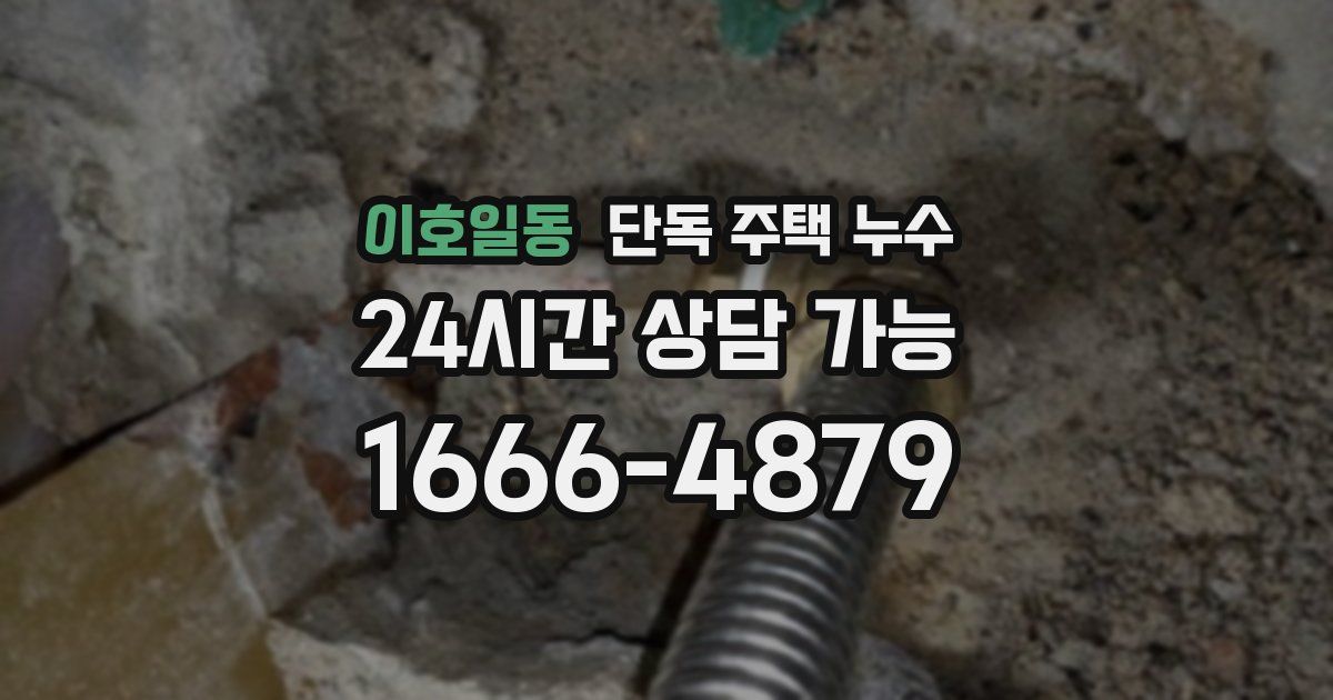 이호일동 단독 주택 누수