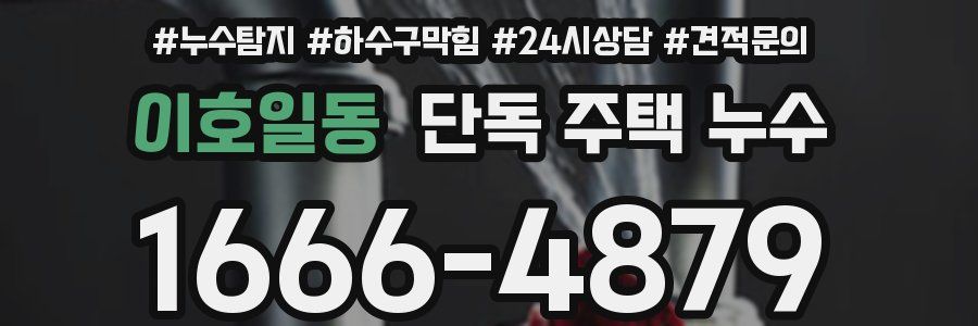 이호일동 단독 주택 누수