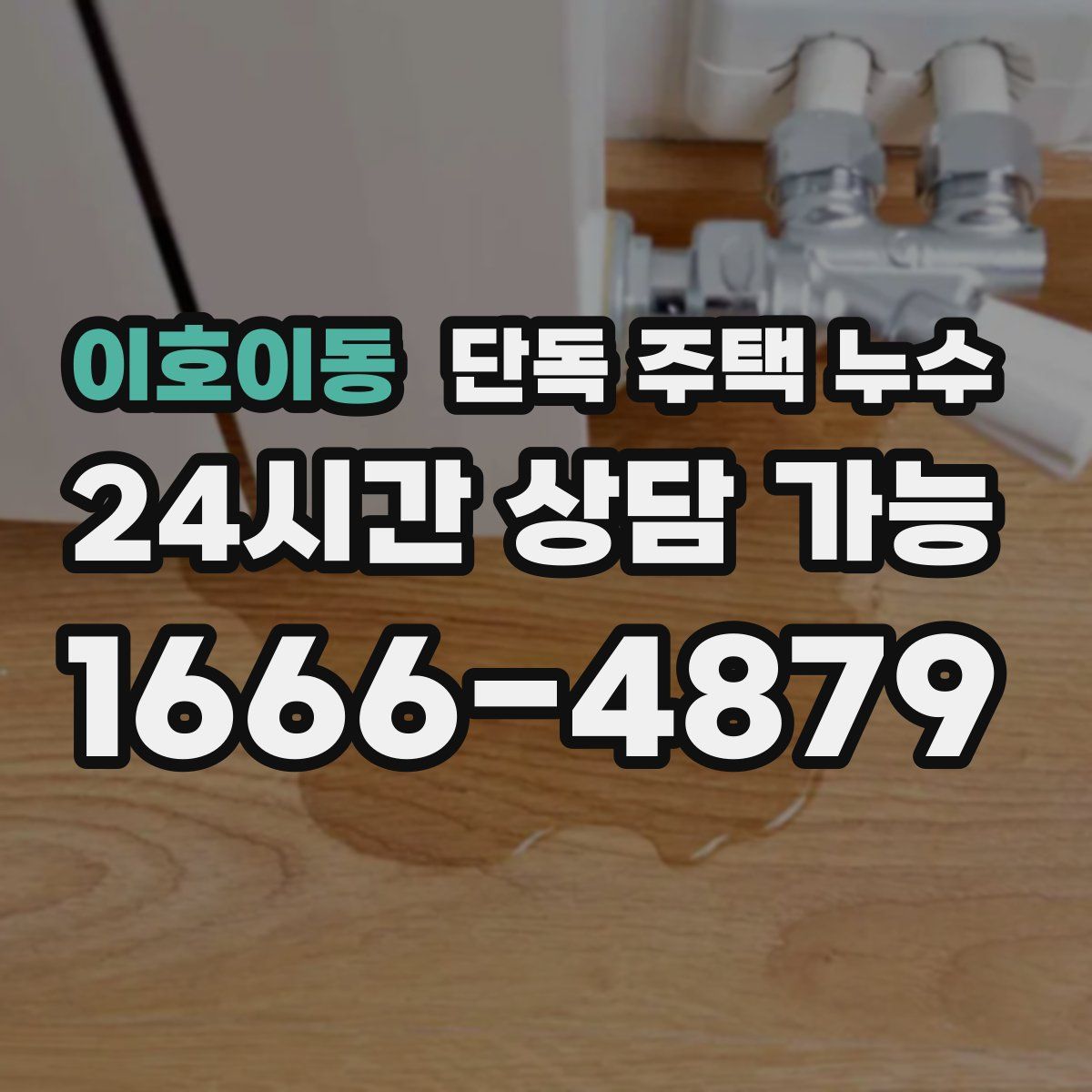 이호이동 단독 주택 누수