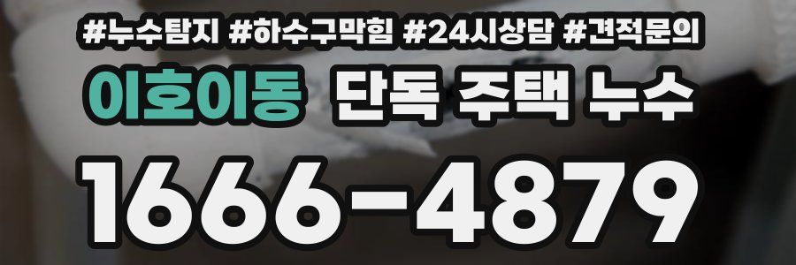 이호이동 단독 주택 누수