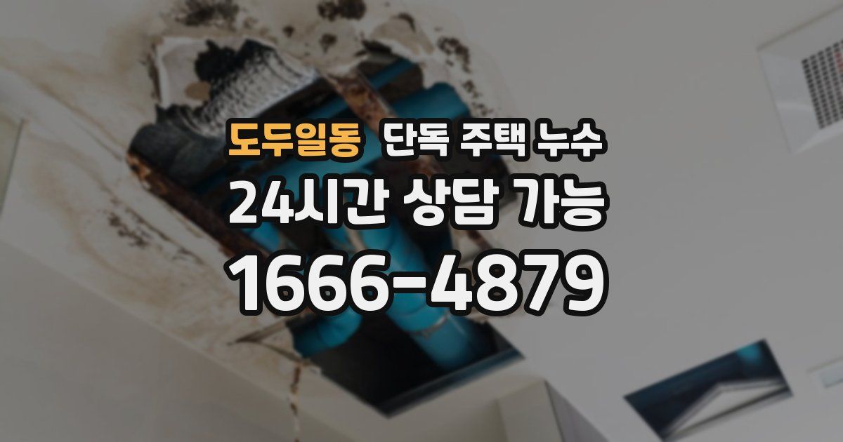 도두일동 단독 주택 누수