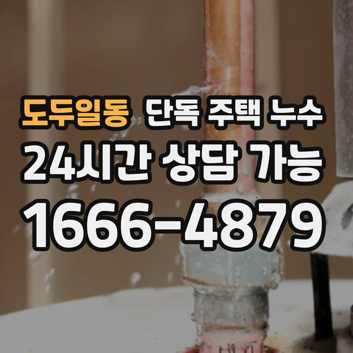 도두일동 단독 주택 누수