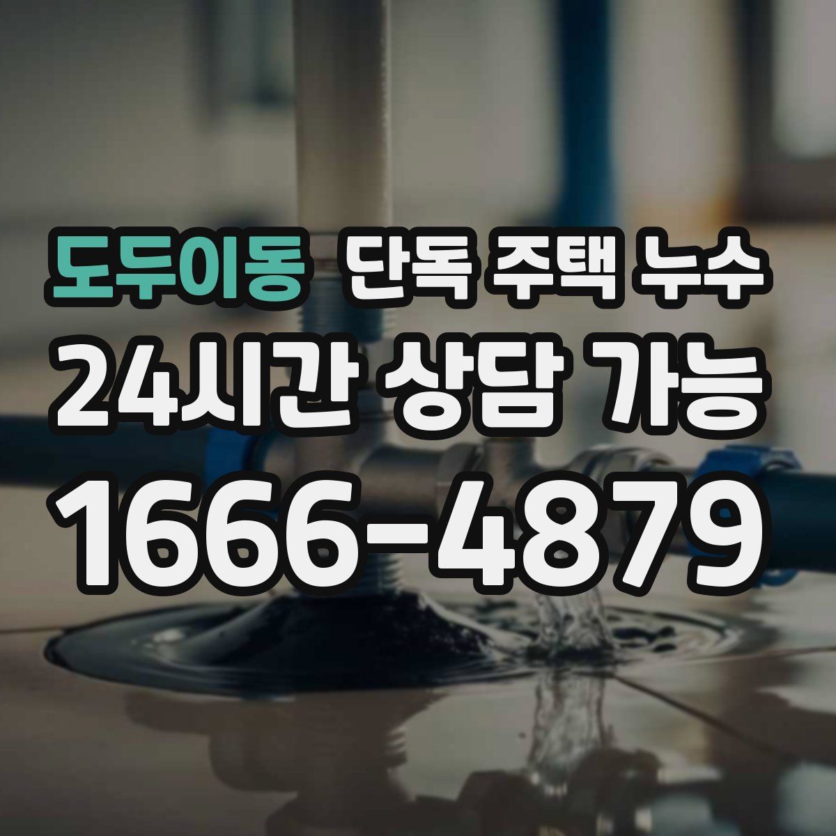 도두이동 단독 주택 누수