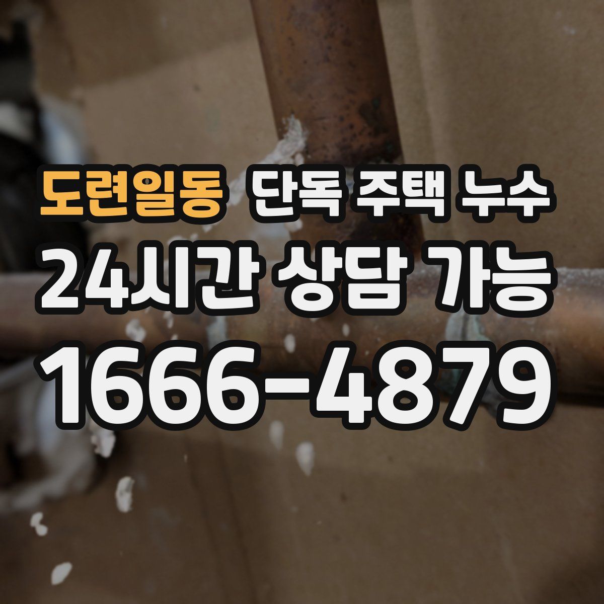 도련일동 단독 주택 누수