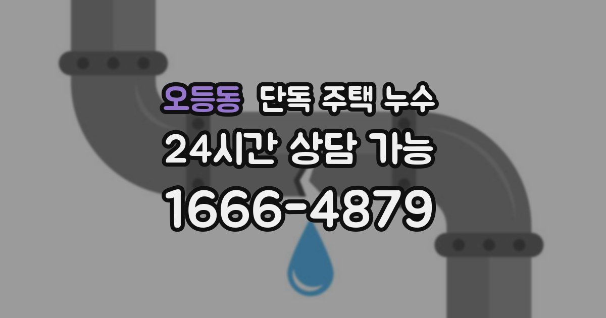 오등동 단독 주택 누수