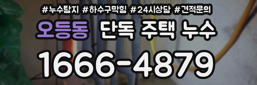 오등동 단독 주택 누수