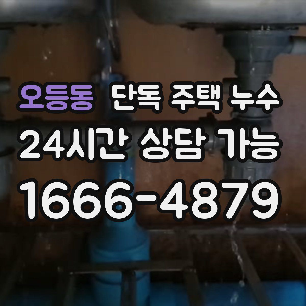 오등동 단독 주택 누수